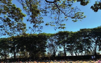 A presença que permanece: a história de Irineu Muzelon Venâncio