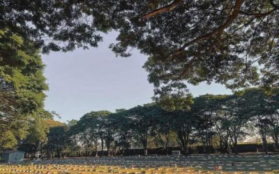 Do medo à esperança: a história de Xavier Pedro Matine